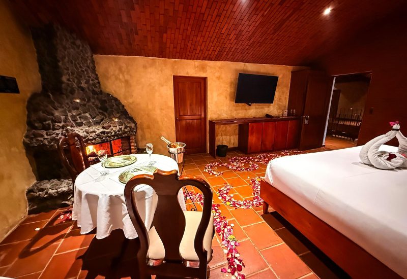 WhatsApp Image 2026-02-03 at 13.14.19 (2)