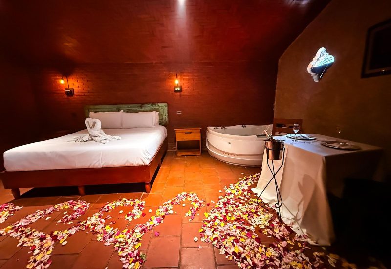 WhatsApp Image 2026-02-03 at 13.16.41 (2)