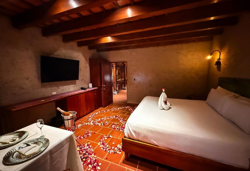 WhatsApp Image 2026-02-03 at 14.16.05 (1)