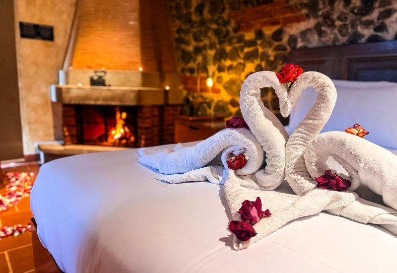 WhatsApp Image 2026-02-03 at 14.41.23 (3)