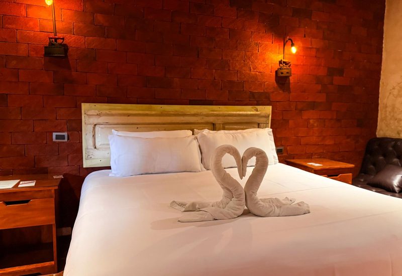 WhatsApp Image 2026-02-03 at 15.08.17 (1)