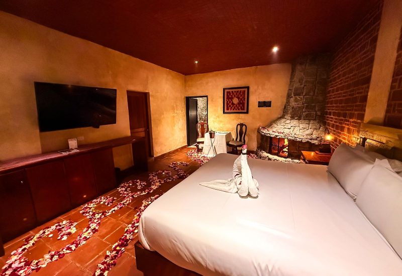 WhatsApp Image 2026-02-03 at 15.21.55 (3)