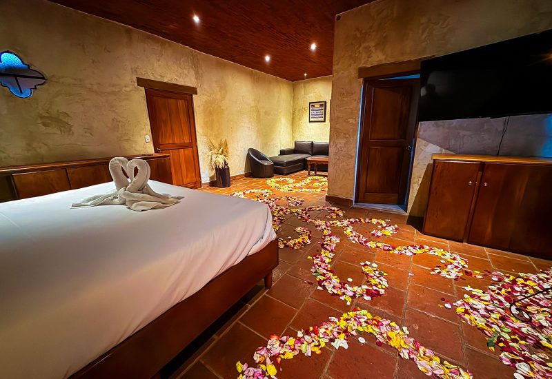 WhatsApp Image 2026-02-03 at 15.26.01 (1)