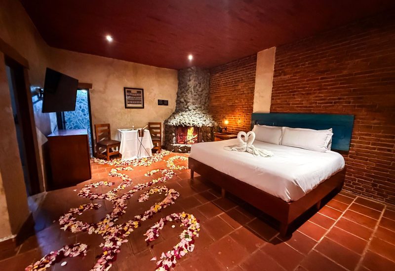 WhatsApp Image 2026-02-03 at 15.26.01 (3)