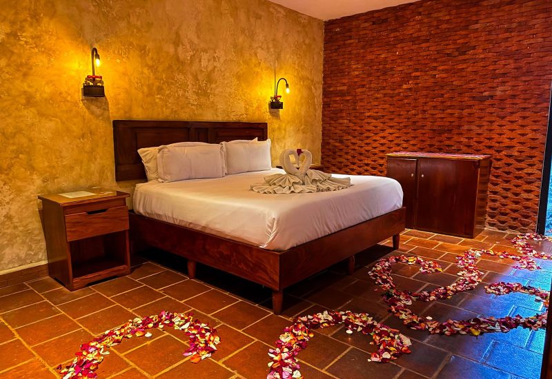 WhatsApp Image 2026-02-03 at 15.32.05 (5)