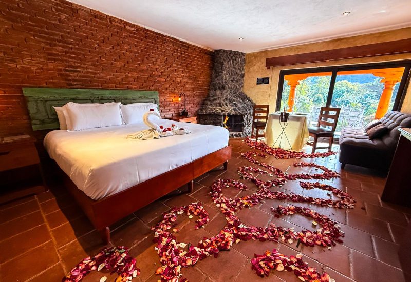 WhatsApp Image 2026-02-03 at 18.00.48