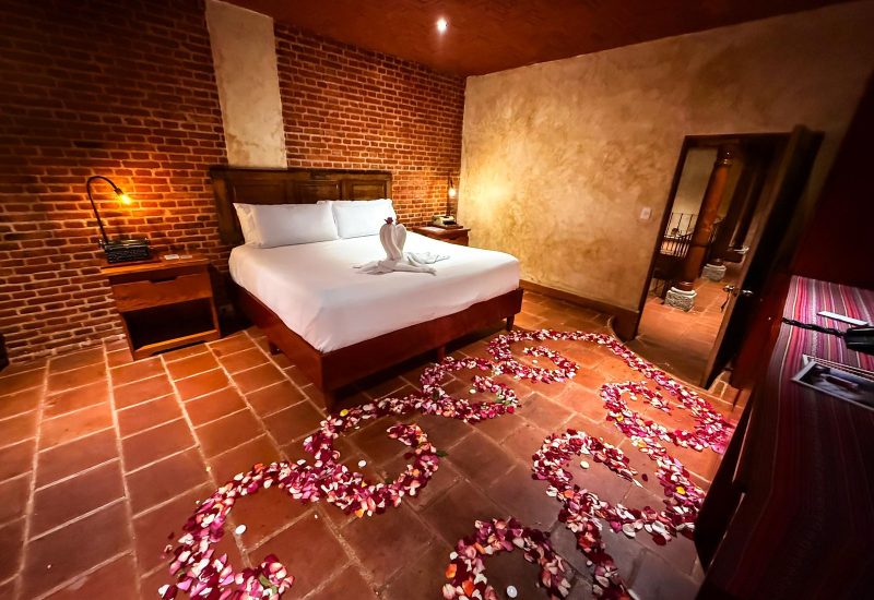 WhatsApp Image 2026-02-03 at 18.14.12