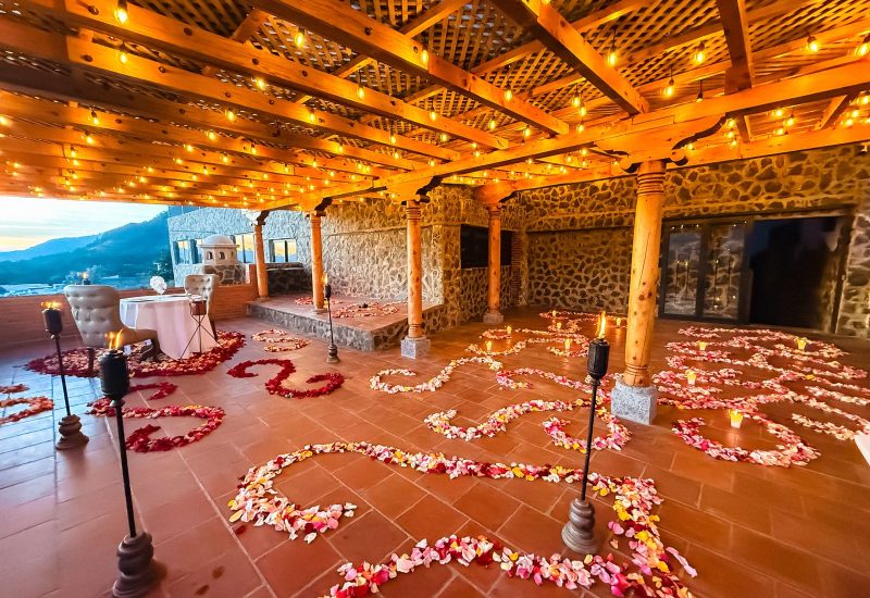 WhatsApp Image 2026-02-10 at 12.03.56 (2)