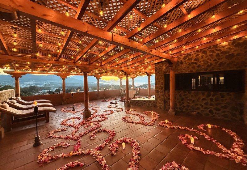 WhatsApp Image 2026-02-10 at 12.03.56